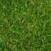 Complete These Turf Management Steps During the Winter Months