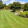 Turf Management