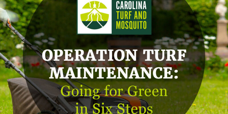 Operation turf Maintenance going for green in six steps