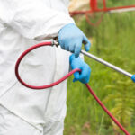 Reclaim your outdoor living space with our mosquito control services