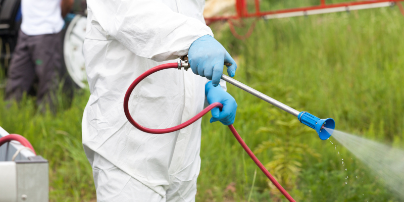 Reclaim your outdoor living space with our mosquito control services
